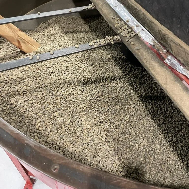 Green coffee beans before roasting