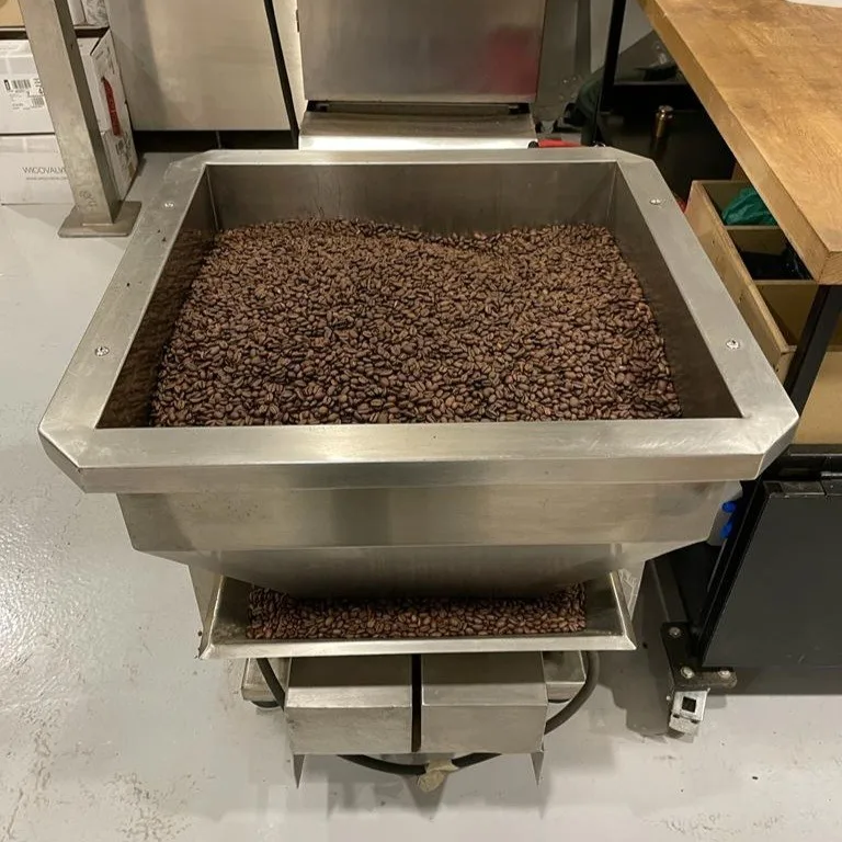 Freshly roasted coffee beans